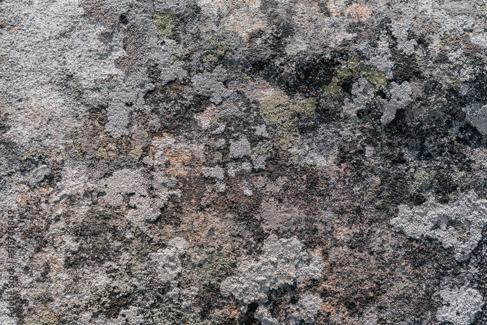 background or texture of mountain stone. Rock background or texture of mountain stone. Rock