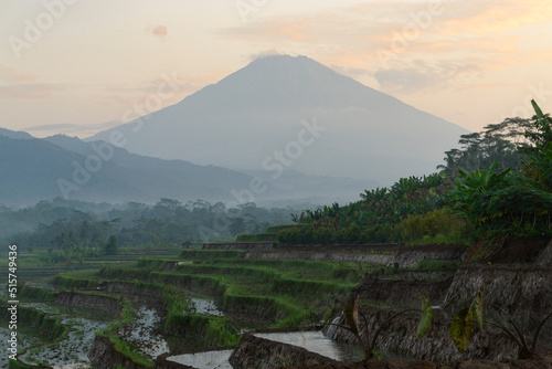 Beautiful terraced rice fields in the Kajoran Village with Mountain on the background in the morning photo