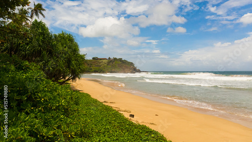 Aerial view of sandy beach with palm trees and ocean surf with waves. Talalla Beach  Sri Lanka.