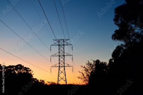 Power lines at sunrise in the forest