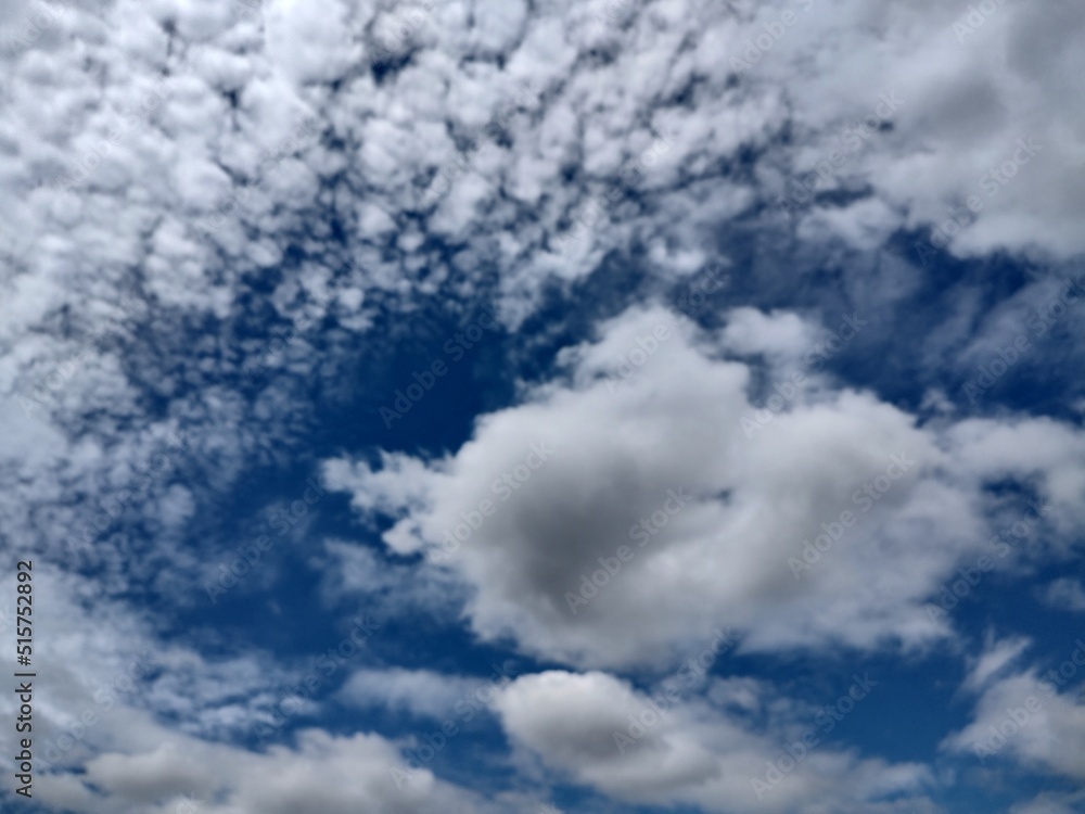 Fototapeta premium 東京のそら(22.7.8)