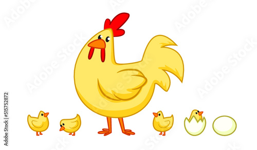 Chicken and Chicks vector colorful isolated illustration