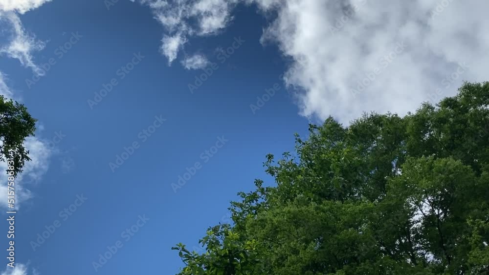 夏の青空と森林 太陽の光 夏の青空と森林 太陽の光
