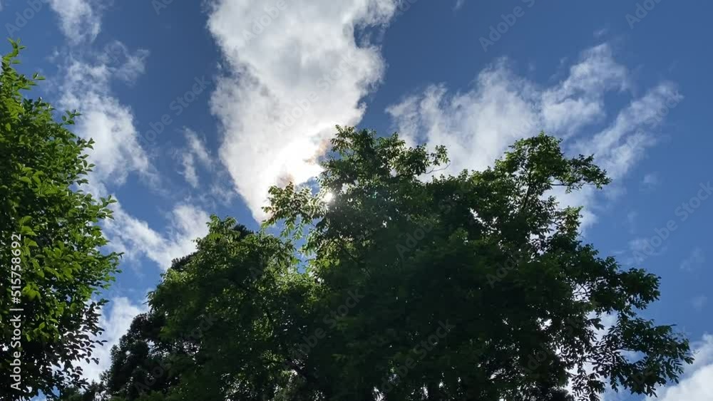 夏の青空と森林 太陽の光 夏の青空と森林 太陽の光