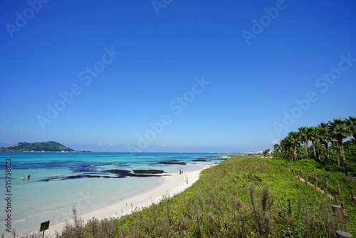 seaside pathway and seascape