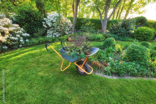 Fotografiet Wheelbarrow on a perfect green lawn in a cultivated country garden used for garden work