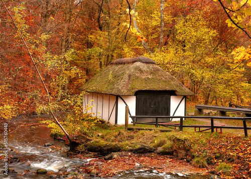 Fotografering A cottage in the countryside in autumn landscape beside a river in Europe