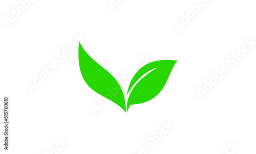 Fototapeta Naklejka Na Ścianę i Meble -  green leaf isolated on white