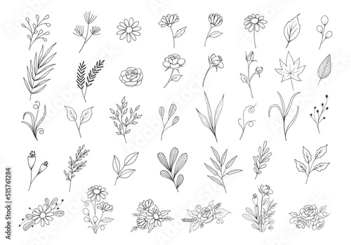 Wildflower botanical collection with outline style, hand drawn individual and arrangements floral clipart, leaves, rose, daisy flower, foliage, flower bouquet vector illustration.