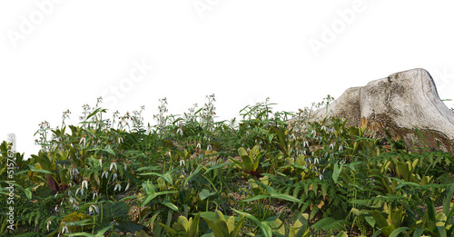 The garden is decorated with logs on a white background.