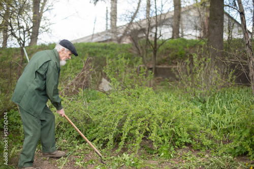 Old man in garden. Grandfather takes care of plants. Pensioner in Russia works land.