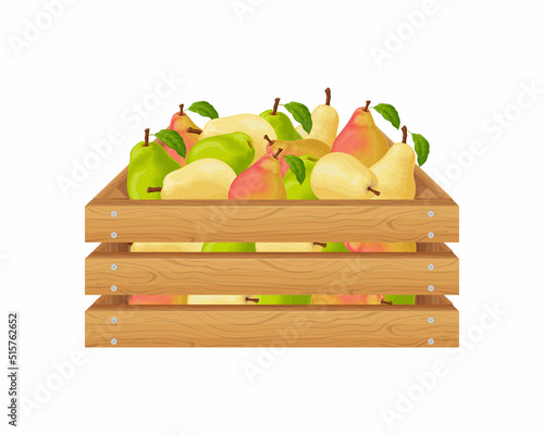Pears. Wooden box with pears. Ripe pear fruits in a box. Fresh garden fruits. Juicy pears in a wooden box. Vector illustration isolated on a white background