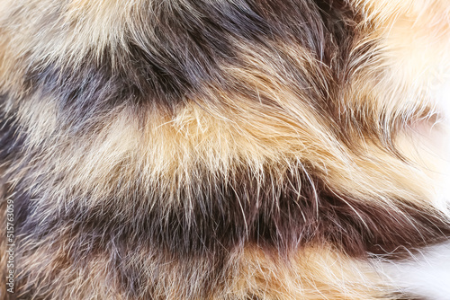 Cat fur soft texture , animal skin brown black natural line background