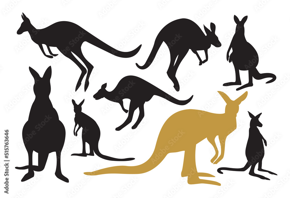 Collection of kangaroo Vector. Kangaroo Illustration on the white background. Collection of kangaroo Vector. Kangaroo Illustration on the white background.