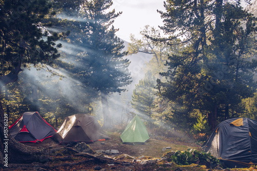 Camping tents in forest. Tourism concept, outdoors leisure. Life in a tent. Pine trees grove camping place stock photo