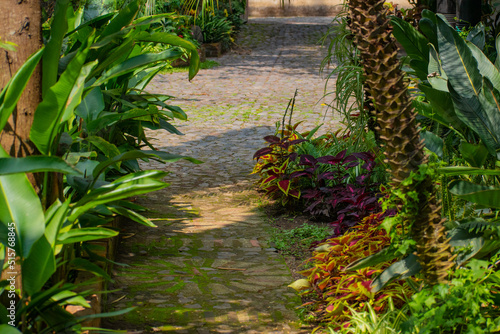 Camino corto empedrado tropical 