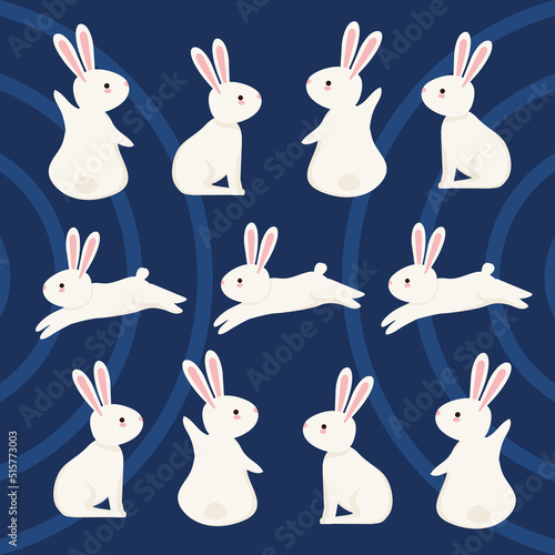 eleven rabbits animals