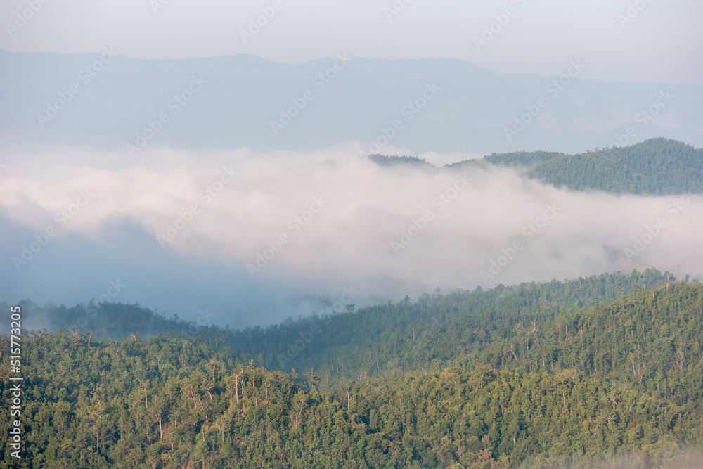 Foggy early morning autumn mountains forest scene. Seasonal, nature and countryside beauty green concept scene in Thailand.