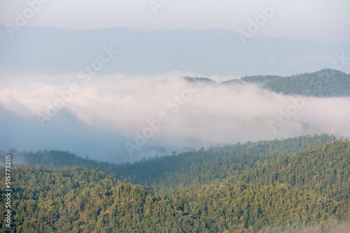 Foggy early morning autumn mountains forest scene. Seasonal, nature and countryside beauty green concept scene in Thailand. © winning7799