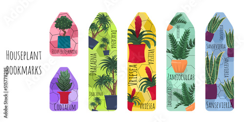 Set of 6 colored bookmarks with houseplants, flower names, symbols and line elements. Bookmarks for reading book. Flat illustration with doodle elements. Bookmarks isolated on a white background.	
