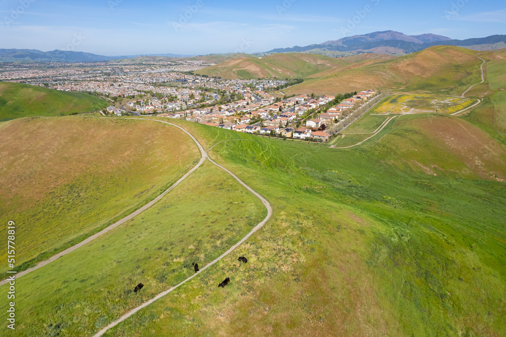 Tassajara Ridge, San Ramon, Tri-valley, San Francisco Bay Area