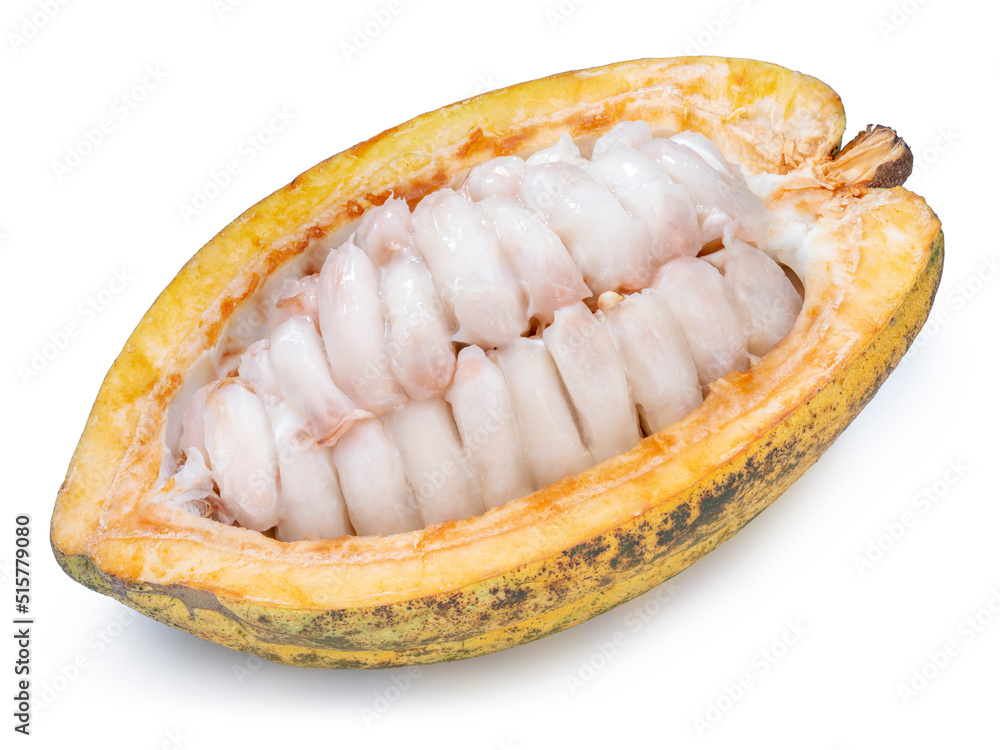 Fresh cocoa fruits isolated on white background, Fresh cocoa beans on White Background With work path. Fresh cocoa fruits isolated on white background, Fresh cocoa beans on White Background With work path.