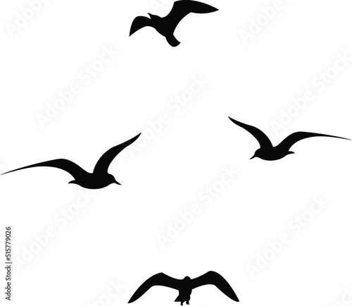 Fotografia Set of black flying seagull silhouettes on white background.