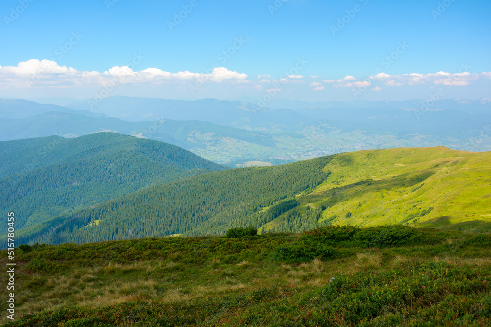 Naklejka premium carpathian mountain landscape in summer. green grassy hills and meadows on a sunny day beneath a sky with fluffy clouds. popular travel destination of ukraine