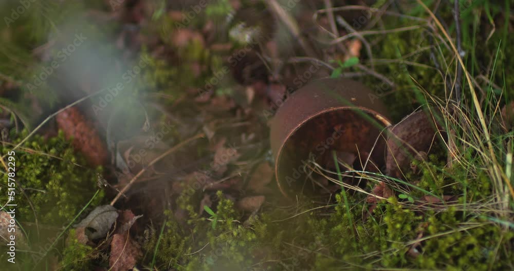 Anemone flowers grow in the forest among the plastic waste. Nature returns its Anemone flowers grow in the forest among the plastic waste. Nature returns its
