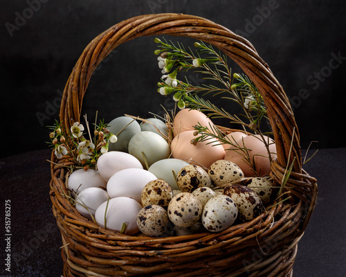 Various chicken and quail eggs