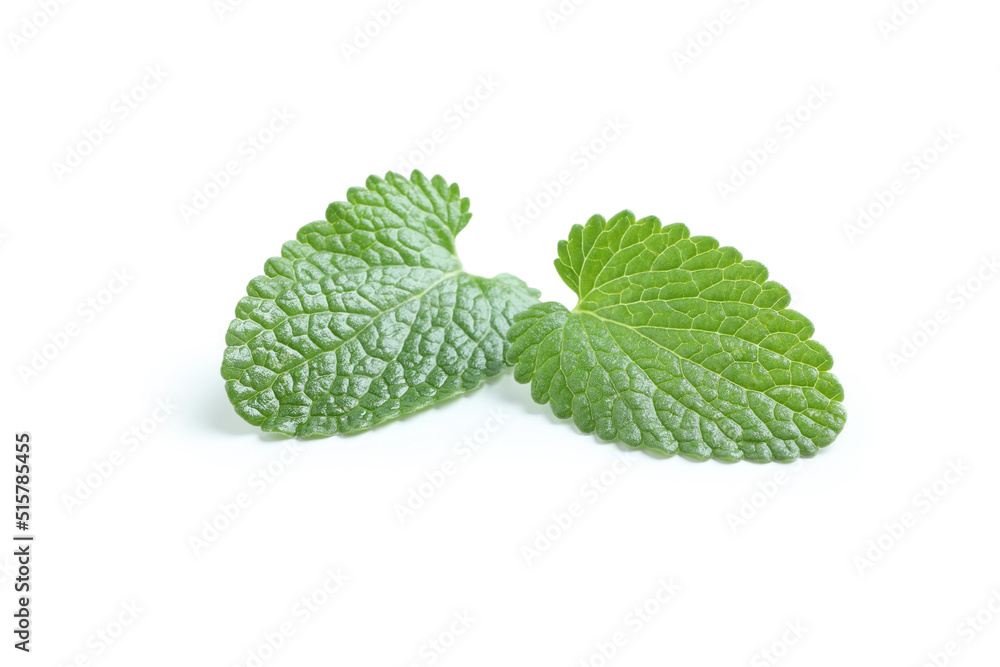 Concept of aromatherapy, mint isolated on white background Concept of aromatherapy, mint isolated on white background