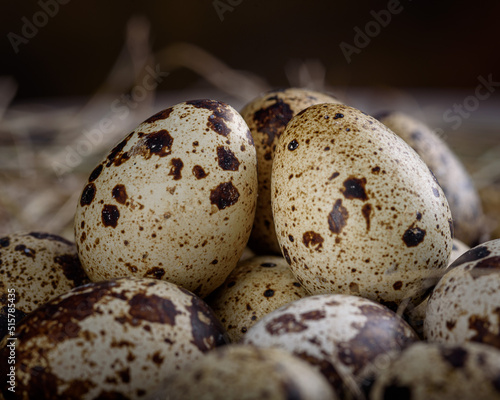Spotted quail eggs close up