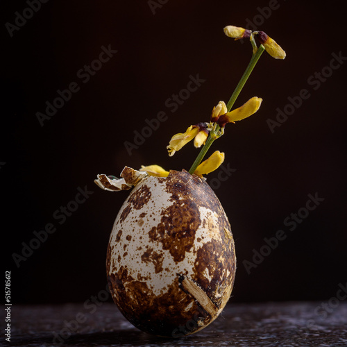 Broken quail egg with flowers