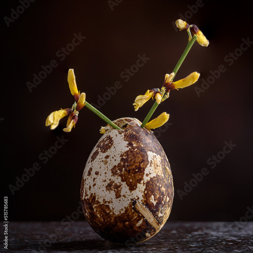 Broken quail egg with flowers
