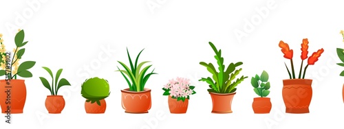 Indoor plants and flowers. In ceramic pots. Seamless horizontal composition. Homemade beautiful herbs. Isolated on white background. Cartoon fun style. Vector