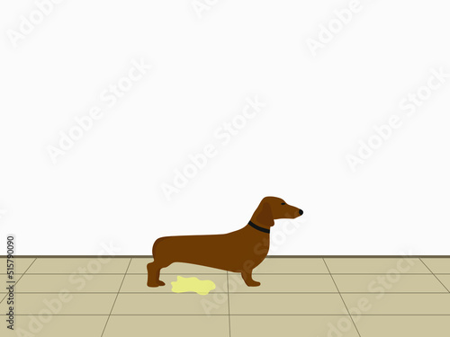 Dog in a collar and a yellow puddle on the floor