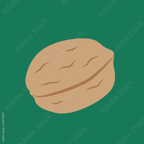 Walnut, nut, front view, illustration