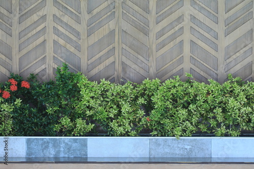 decorative green plants and wooden wall