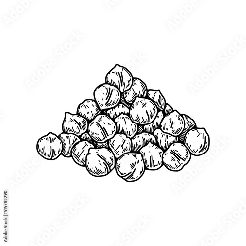Hand drawn handful of chickpeas beans. Botany vector illustration in sketch style