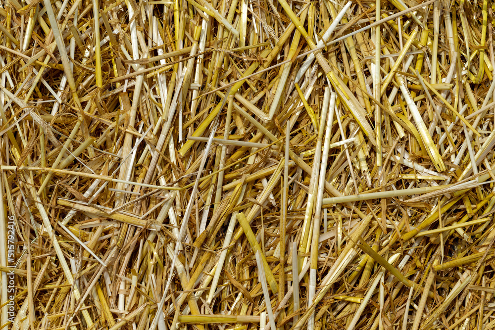 The texture of hay. Hay bales are stacked in large piles. Harvesting in agriculture. The texture of hay. Hay bales are stacked in large piles. Harvesting in agriculture.