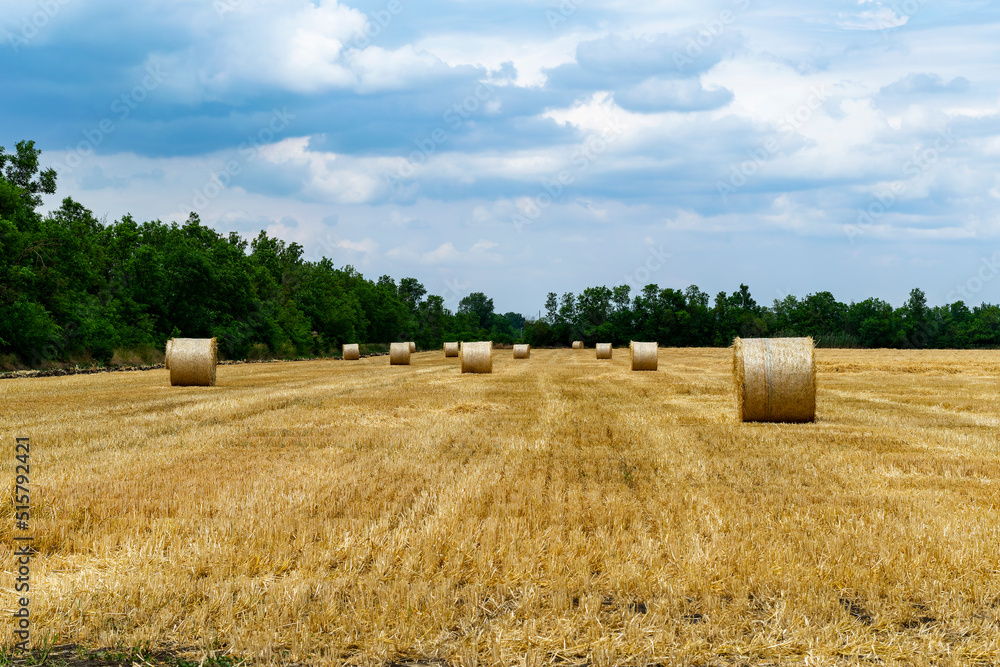 Round straw bales rolled up on a field against a blue sky, a summer harvest landscape. A series of pictures