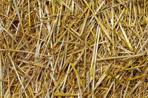 Foto The texture of hay