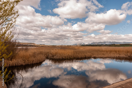 Lake with sky reflected in the blue water  with brown reeds and snow-capped mountains in the background.