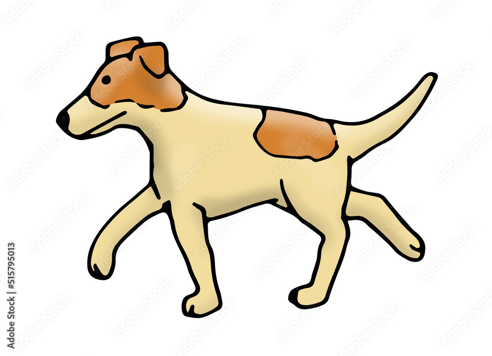 Fototapeta premium Hund