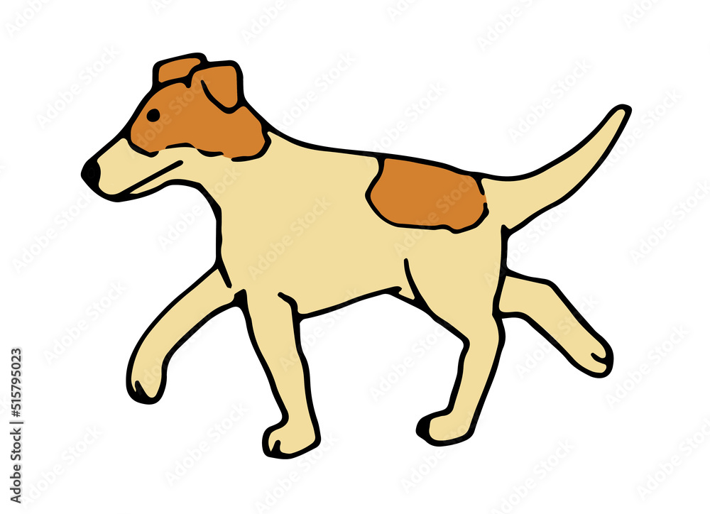 Fototapeta premium Hund