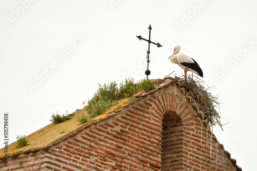 Cigueña en el campanario de la iglesia