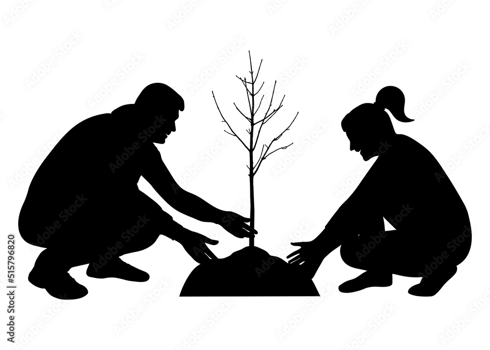 Planting tree, landscaping. Man and woman plant tree seedling