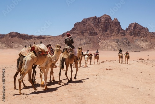 Bedouins with camels on Wadi Rum Desert in Jordan. The amazing Wadi Rum desert with Martian scenery. © Iwona