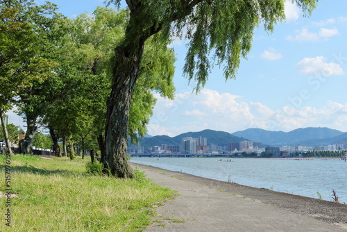 真夏の琵琶湖岸の風景 © So Takinoiri
