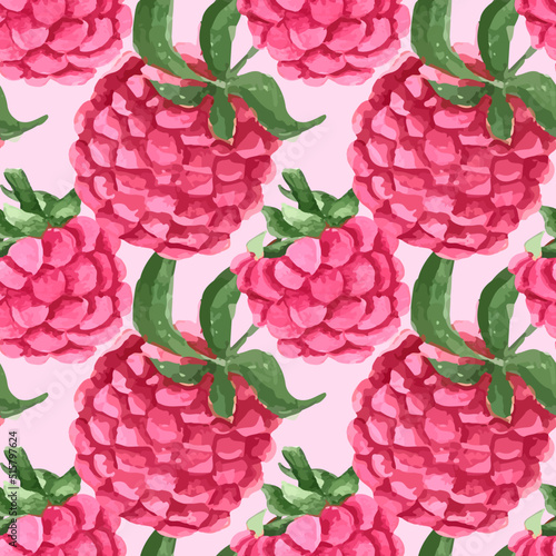 watercolor vector hand drawn pattern seamless pink fruit berries raspberry